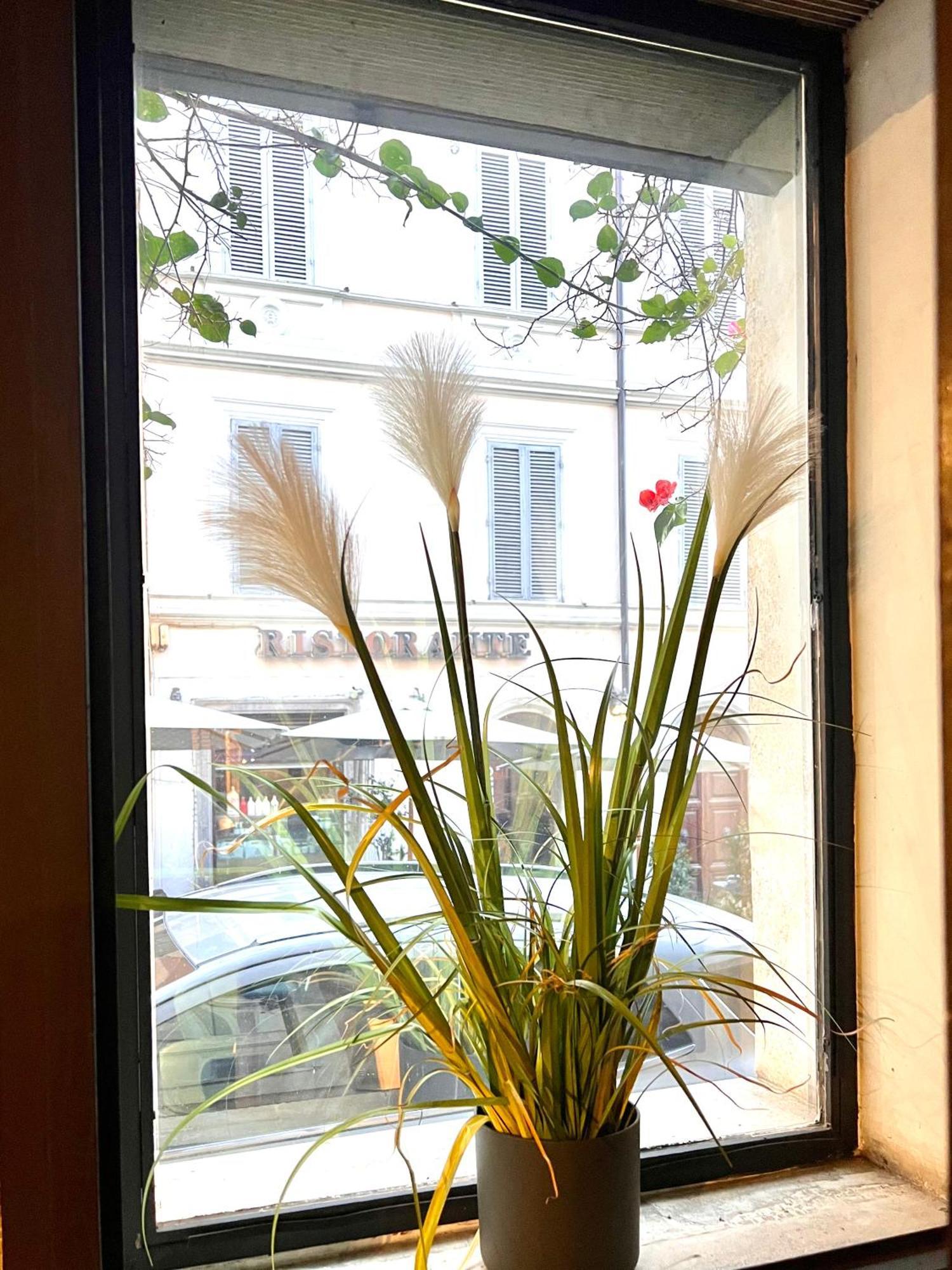 Romantic Wellness Apartment Colosseo Kültér fotó